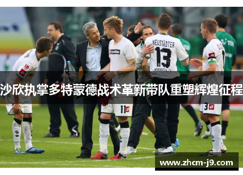 沙欣执掌多特蒙德战术革新带队重塑辉煌征程 沙欣执掌多特蒙德战术革新带队重塑辉煌征程
